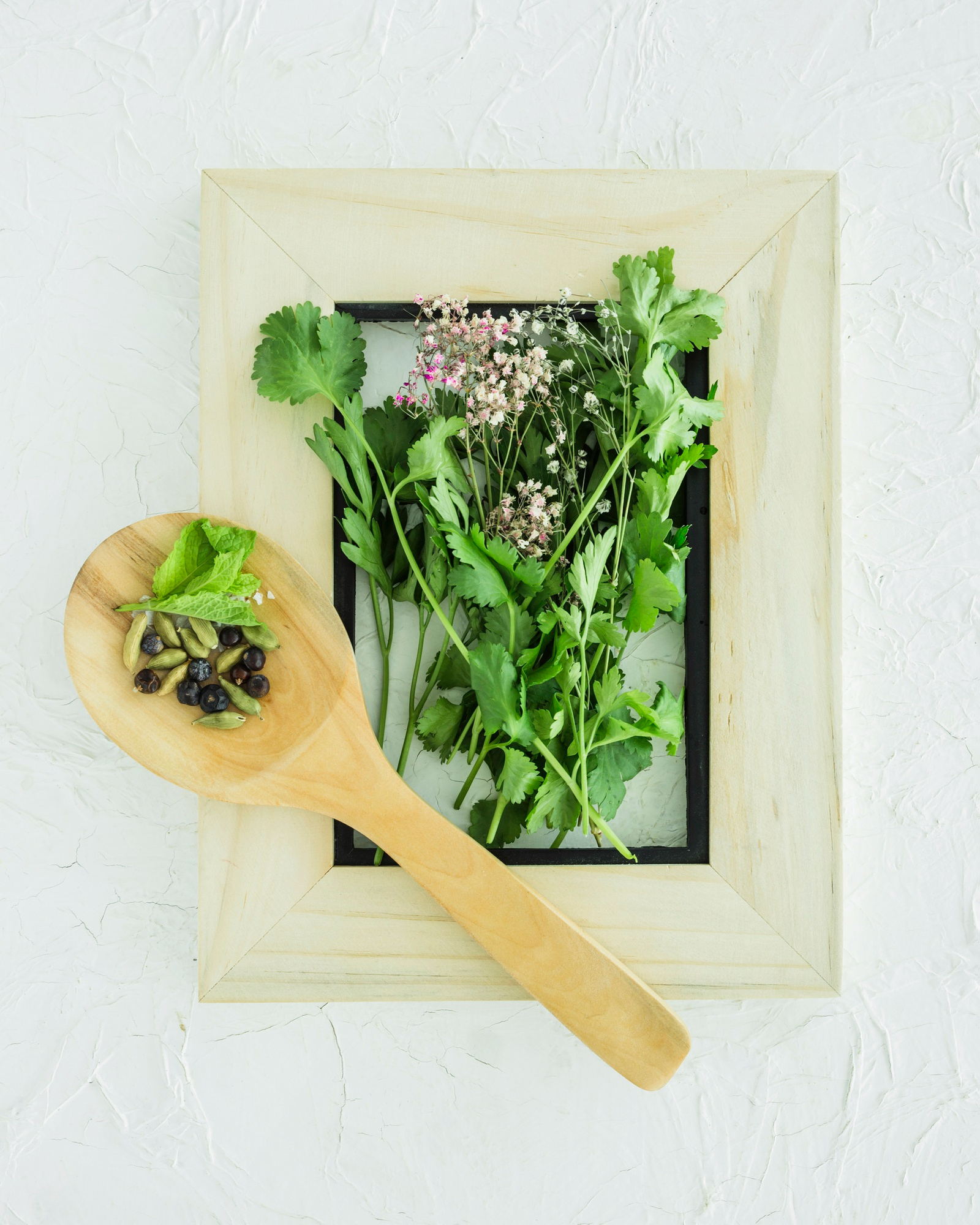 Fresh Ayurvedic herbs